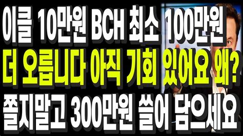 비트코인 리플 도지코인 이더리움 이클 10만원 비트코인캐시 100만원 더 오릅니다 아직 기회 있어요 왜 쫄지말고 최소 300