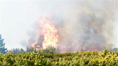 Uk Heatwave Ashdown Forests Warning Over Wildfires During Drought