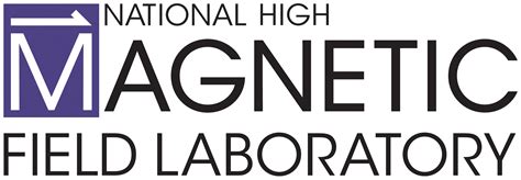 Brand And Logo Maglab