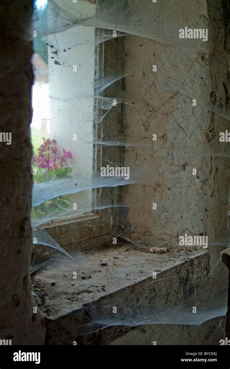 Window of an old house covered in cobwebs Stock Photo - Alamy