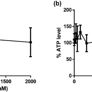 Cytotoxicity of ochratoxin A on microglial BV-2 cells. BV-2 cells were... | Download Scientific ...