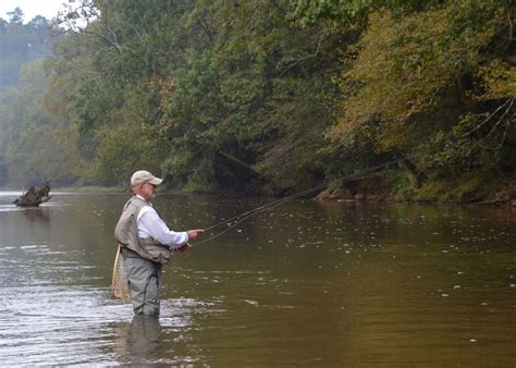 Elk River Trout Elk River Fishing Rainbow Trout Tims Ford Dam