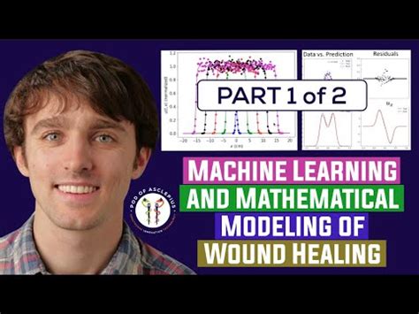 Machine Learning And Mathematical Modeling Of Wound Healing Part