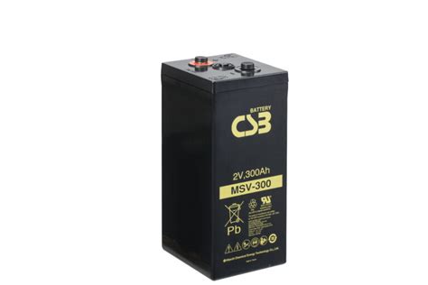 CSB MSV300 SLA AGM Battery Battery Store Inc