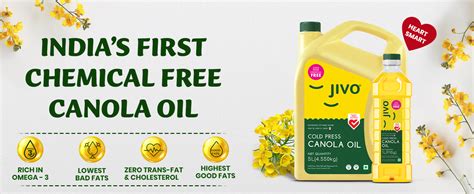 Jivo Canola Cold Pressed Edible Oil Litres With Litre Premium