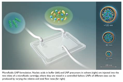 Nanoparticles Nanomedicines Exploring The Past Present And Future