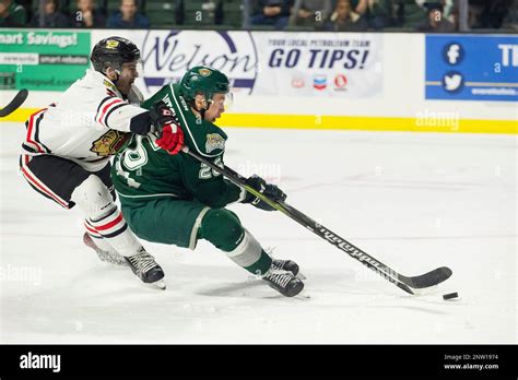 EVERETT WA NOVEMBER 28 Everett Silvertips Forward Reece Vitelli 26