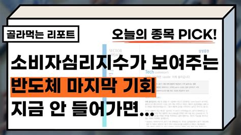 골라먹는 리포트 2차전지 추가 조정 온다 어떤 종목 다시 오를까 반도체소부장삼성전자sk하이닉스테크소비자심리