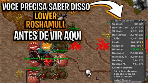 Tibia Otimizando Sua Hunt Solo Em Lower Roshamuul Dicas Essenciais