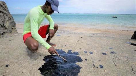 Massive Oil Spill Turns Brazils Beaches Black Kills Marine Life