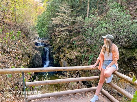 Ruta Por La Selva Negra Gu A De Viaje Viviendo De Viaje