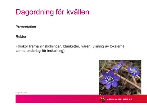 Välkommen Förskoleklass hösten ppt video online ladda ner