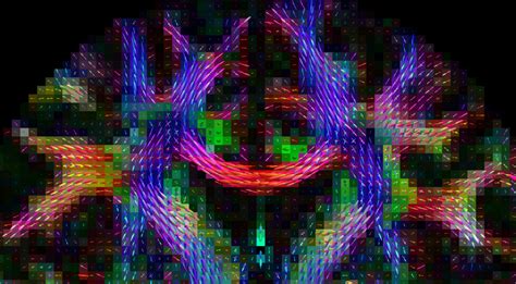 image analysis biomedical research imaging center