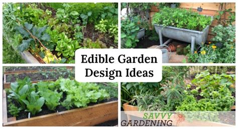 Edible Garden Design Ideas To Boost Production And Beautify Your Space