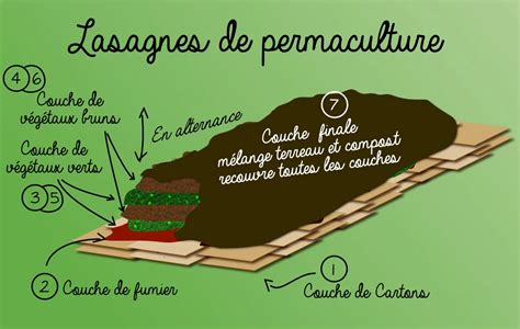 Lasagnes en permaculture cultiver vos légumes en sol pauvre