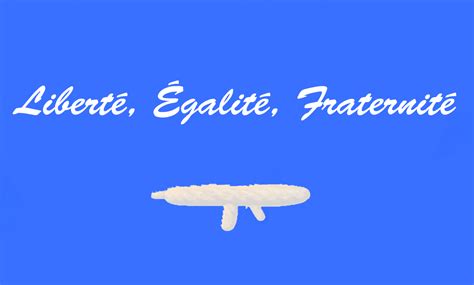 Flag Of France In Style Of Saudi Arabia Eith Baguette Gun R