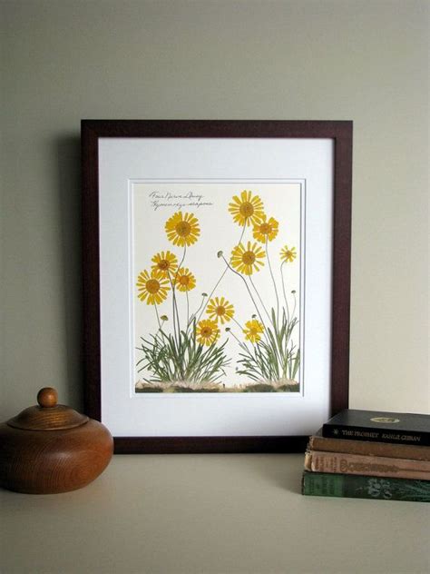 Pressed Flower Print X Double Matted Four By Flatflowerdesigns