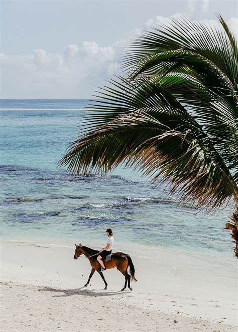 SALT of Palmar: A Boutique Hotel in Mauritius Revels in Tropical Hues ...