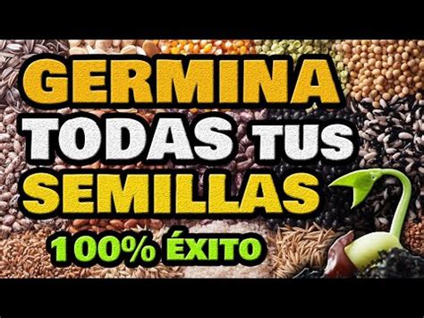 El Momento Adecuado Para Sembrar Una Semilla La Casa De La Huerta