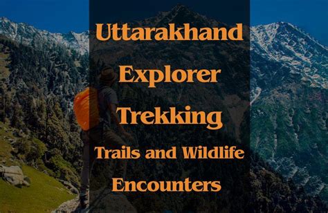 Uttarakhand Explorer Trekking Trails And Wildlife Encounters Tourism