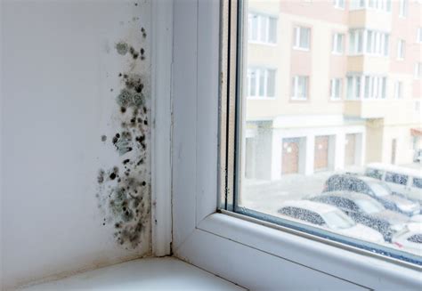 Mietminderung bei handwerklichen Mängeln