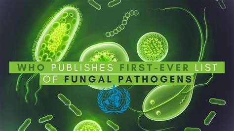 WHO Publishes First-Ever List Of Fungal Pathogens: What You Should Know ...