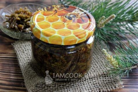 Варенье из сосновых побегов — рецепт с фото | Питание рецепты, Идеи для ...
