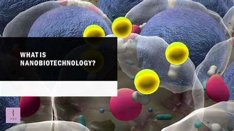 All You Need To Know About Nanobiotechnology