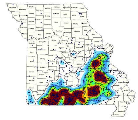 How Many Black Bears Are There In Missouri St Louis Public Radio