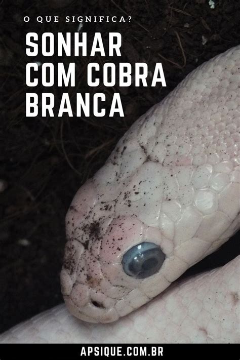 Sonhar Cobra Branca O Que Significa Sonhar Cobras Cobra