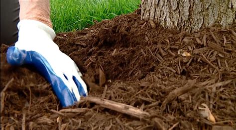 Proper Mulching Tips