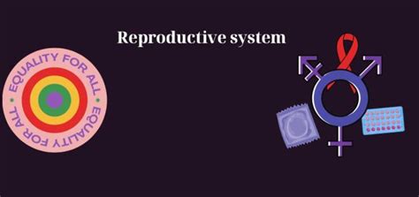 Part 1 Reproductive System Esep