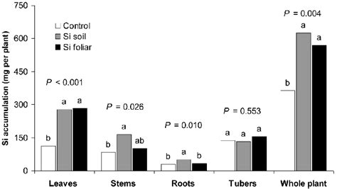 Effect Of Soil And Foliar Applications Of Soluble Si On Si Accumulation