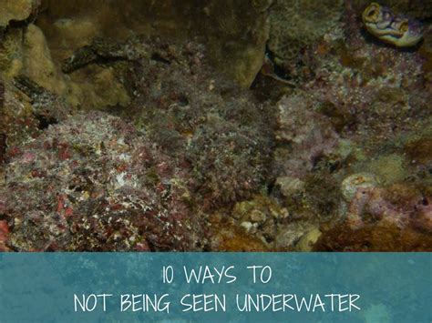 10 ways to not being seen underwater - More Fun Diving