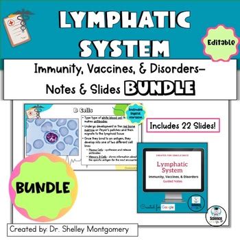 Anatomy And Physiology Unit Lymphatic System Immunity Notes