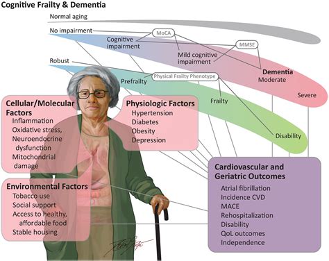 Role Of Cognitive Frailty In Older Adults With Cardiovascular Disease