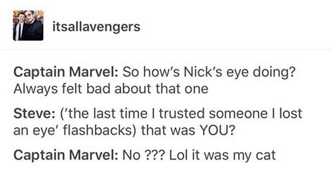 Captain America. Captain Marvel. Nick Fury. The cat lol. How Nick lost ...