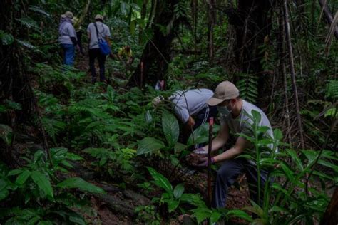 Air Terjun Batu Hampar Harga Tiket Waktu Operasi Aktiviti