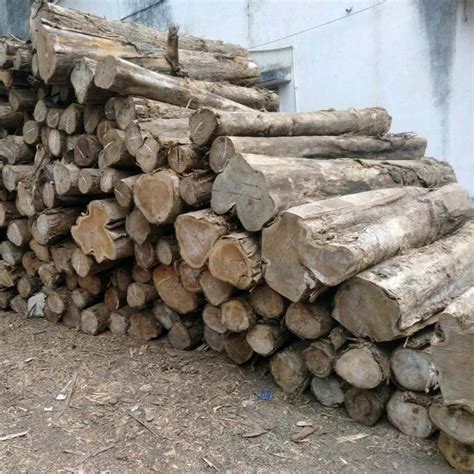 Indian Teak Wood For Furniture Grade A Grade At Rs Cubic Feet