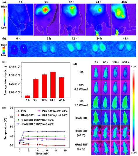 Figure 3 From Ferritin Nanocaged Aggregation Induced Emission