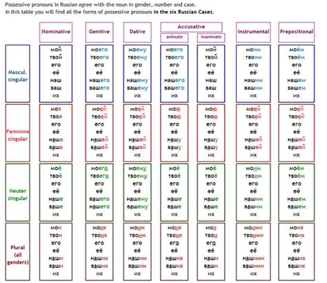 Possesive Pronouns In Russian Russian Language Learning Russian Language Lessons Possessive