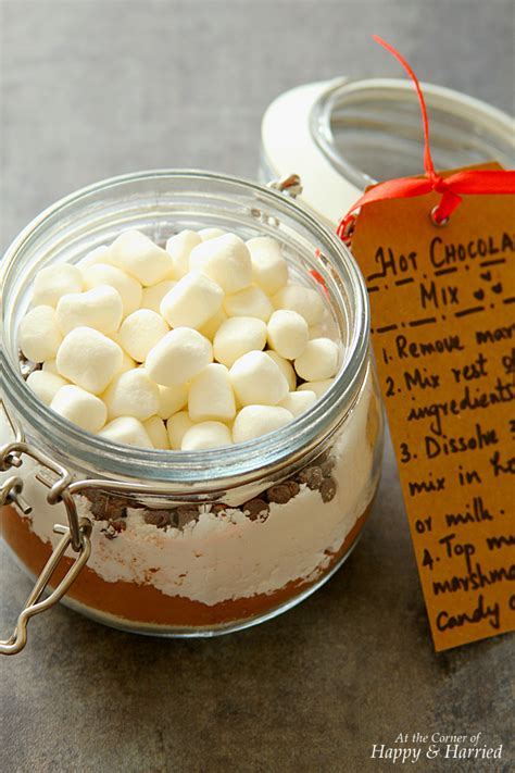 Hot Chocolate Mix Christmas Edible Gift