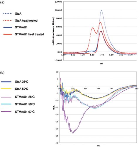 The Biochemical And Biophysical Characterisation Of Stm Show That The