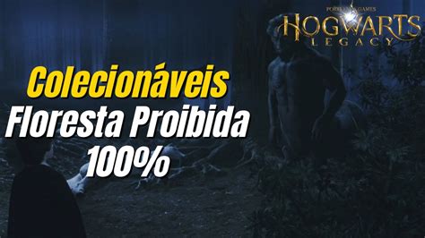 Hogwarts Legacy Guia Colecionáveis 100 Floresta Proibida YouTube