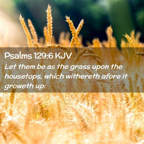 Psalms 1296 Kjv Let Them Be As The Grass Upon The Housetops