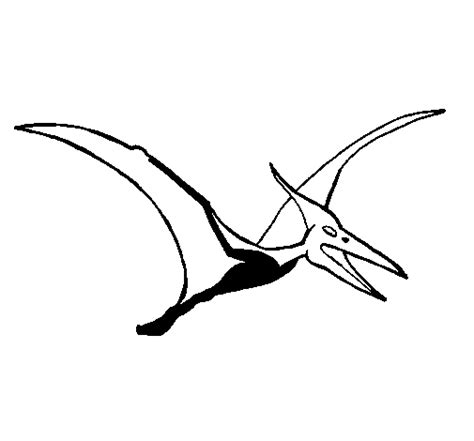 Dibujo de Pterodáctilo para Colorear Dibujos net