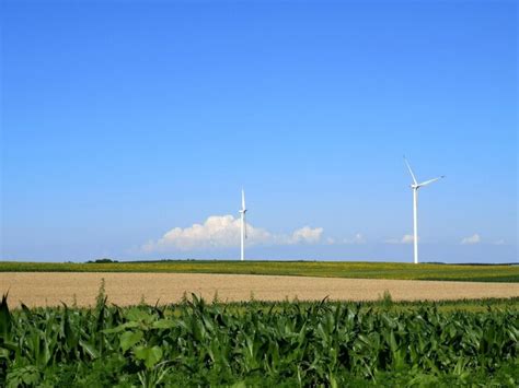 Premium Photo Wind Turbines On Field Against Blue Sky