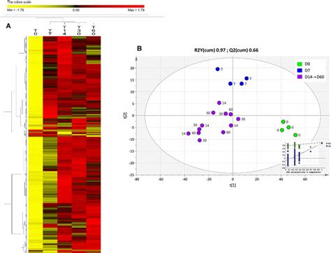 Heatmap With Hierarchical Clustering Euclidian Distance Ward Download Scientific Diagram