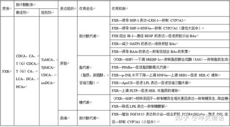 胆汁酸受体及其作用途径 知乎