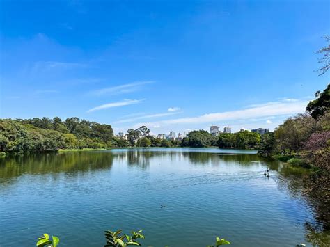 Descubra O Que Fazer No Parque Ibirapuera 16 Ideias